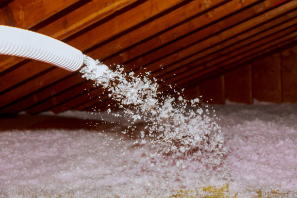 Best Insulation Air Sealing  in Eldorado, TX