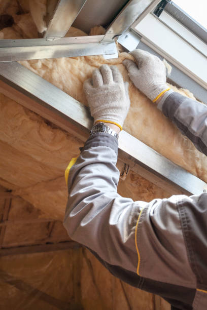 Best Radiant Barrier Insulation  in Eldorado, TX