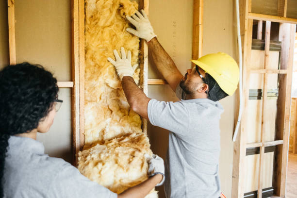 Best Spray Foam Insulation  in Eldorado, TX