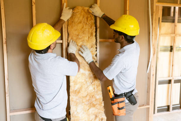 Types of Insulation We Offer in Eldorado, TX