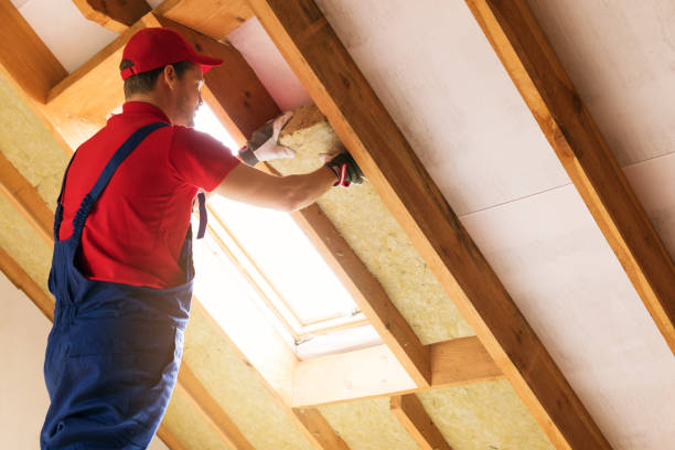 Best Insulation for New Construction  in Eldorado, TX